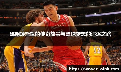 姚明矮篮筐的传奇故事与篮球梦想的追逐之路